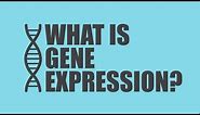 What is Gene Expression? | Unicity Science
