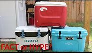 Truth about Coolers- YETI 20 VS Igloo BMX 25 VS Old RED