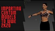WWE 2K20 Mod Tutorial - Importing Custom Models With CakeTools