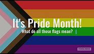 What do LGBTQ Pride flags mean?