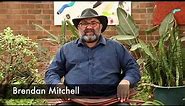 Aboriginal Australian Stone Tools and Knapping