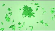 Lucky Green Falling Four Leaf Clovers St. Patrick's Day Shamrocks 4K UHD 60fps 1 Hour Video Loop