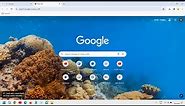 How To Change Google Chrome Theme | Change Chrome Background Theme