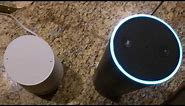 Alexa (Amazon Echo) and Google Home infinite loop conversation