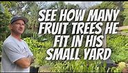 Growing Fruit Trees In Small Spaces