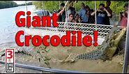 Giant Crocodile Encounter with "Dominator"