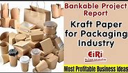 Kraft Paper for Packaging Industry - How to Start Manufacturing