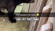Can i pet dat dawgggggg #dawg #canipetdatdawg #funny #meme #fyp #fypシ #fypage #fypageシ #foryou #foryoupageofficiall #foryoupage #viral #goviral