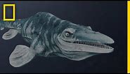 Mosasaurs 101 | National Geographic