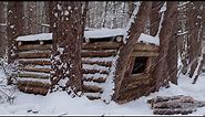 Building a Warm Winter Shelter for Survival in the Wild Woods. Winter Bushcraft. ASMR