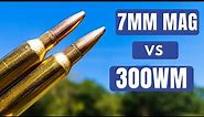 7MM Mag vs 300 Win Mag [Which is Better???]