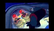 Lilo & Stitch- Stitch escaping scene