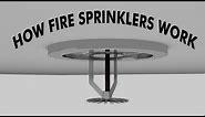 How fire sprinkler systems work (3D Animation)
