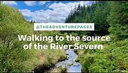 Sources of UK rivers • River Severn / Afon Hafren • Hafren Forest, Powys, Wales