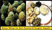 Tip:- How to Eat Custard Apple In Two minutes || How to Eat Sitaphal Fruit In Two minutes