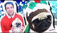PUGS IN CHRISTMAS OUTFITS!!!