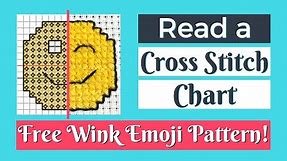 HOW TO READ a CROSS STITCH CHART & Follow a Cross Stitch Pattern | How to Do Cross Stitch Flosstube