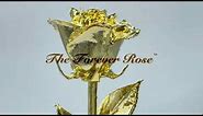 The Forever Rose™ | How is my Forever Rose made?