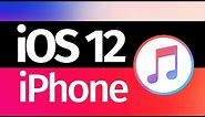 How to Update iPhone via iTunes | iOS 12 | Mac & PC