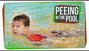 Why Peeing in the Pool Could Be Dangerous | Disinfection By-Products