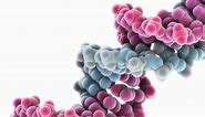 Reproduction DNA and Genetics - BBC Bitesize