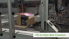 CVP Automated Packaging Solution