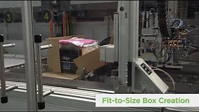 CVP Automated Packaging Solution