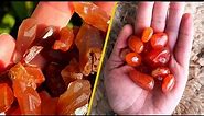 Red Agate VS Carnelian Compared: What Makes Them Different?
