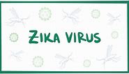 Zika virus: Video, Anatomy, Definition & Function | Osmosis