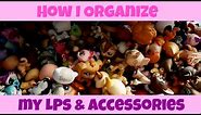 How I Organize My LPS & Accessories! | LPSskittles