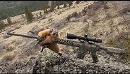 .223 Remington vs Rock Chucks | Rock Chuck Hunting | AR-15 .223