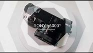 Sony A6000 Setting: Aperture, Shutter Speed, ISO, Focus, Exposure, White Balance