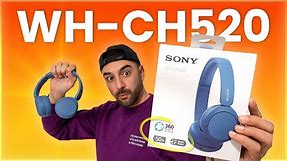 Sony WH-CH520 Review - Big Sound, Small Price!