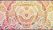 Inctricate Kaleidoscope - Colorful Mandala - Cosmic Flower - Relaxing Hypnosis - Visual Meditation