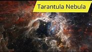 Tarantula Nebula Captured By James Webb - 4K Video