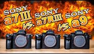 Sony a7 III vs Sony a7R III vs Sony a9: Which To Buy