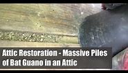 Attic Restoration - Massive Piles of Bat Guano in an Attic
