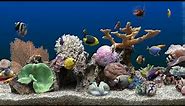 Marine Aquarium 3 - 2 hours (4K)