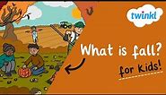 Fall Season for Kids | What is fall? | Why do leaves change in fall? | Changing seasons | Twinkl USA