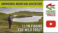 Snowdonia Mountain Trout adventure - llyn fishing for wild brown trout in North Wales