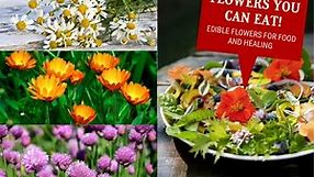 Growing Edible Flowers in Your Garden