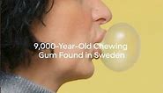 9000 Year Old Chewing Gum - The world's oldest chewing gum #facts #interestingfacts #shorts