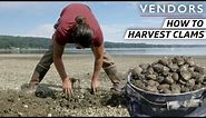 The Techniques Behind Harvesting the Best Clams on the West Coast — Vendors