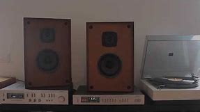 Sonics AS-67 Vintage Speakers from 1970's