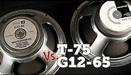 Celestion G12t-75 Vs G12-65 Shootout