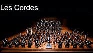 Les instruments de l'Orchestre Symphonique - Les Cordes frottées