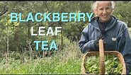 Making Fermented Blackberry Leaf Tea