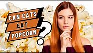 Can Cats Eat Popcorn? Here's What You Need to Know