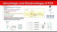 Advantages and Disadvantages of PCR | Biotechnology