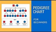 Pedigree Charts for beginners